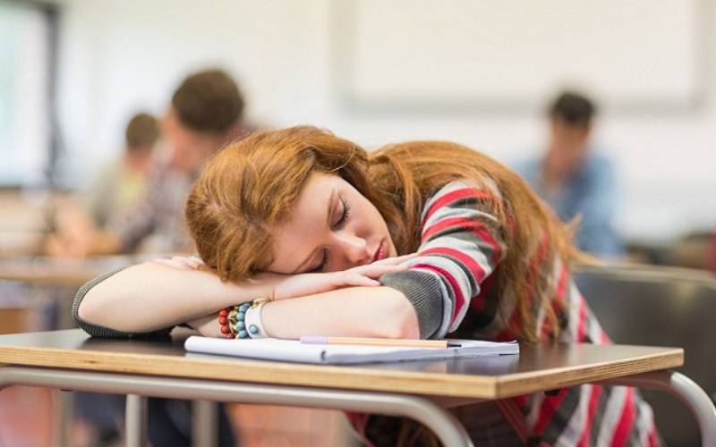 Ngủ gật trong giờ học là việc mà bất cứ học sinh, sinh viên nào cũng đã từng trải qua